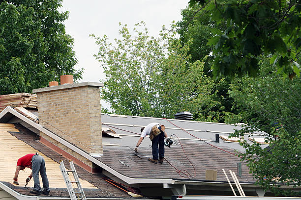 Roof Waterproofing Services in Williamsville, IL