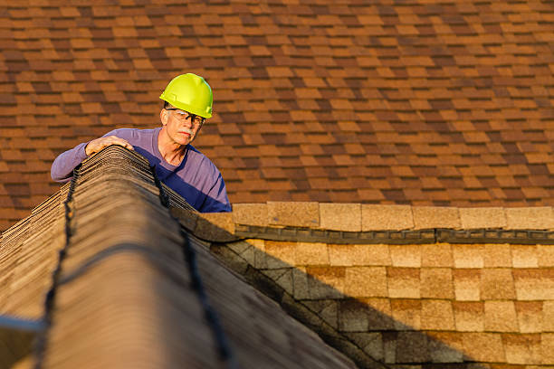 Best Roof Inspection Near Me  in Wliamsvle, IL