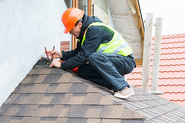 Best Gutter Installation and Roofing  in Wliamsvle, IL